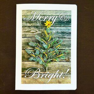 10 Blank Christmas Cards, Midwest Christmas, Christmas in July, 5” x 7”